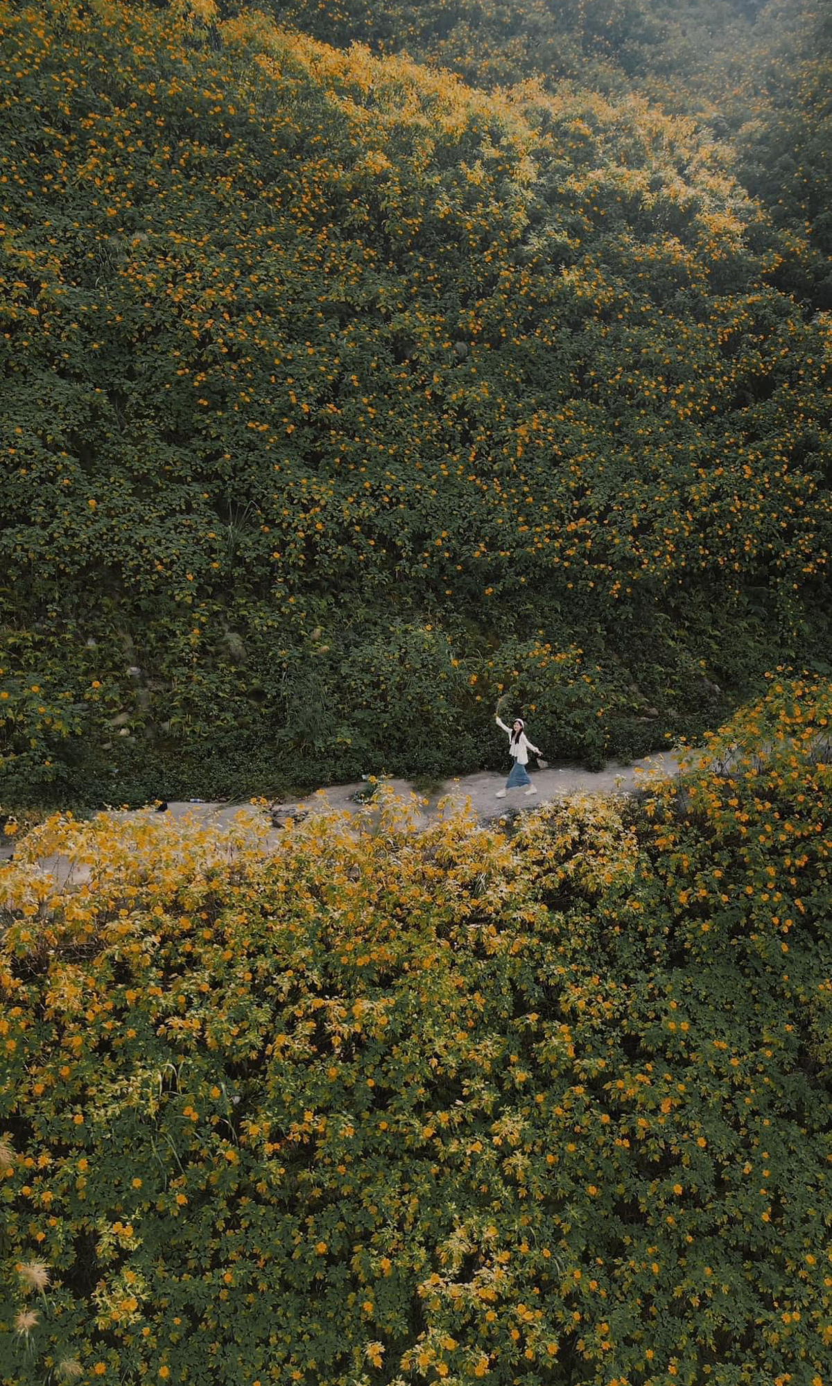 Image6