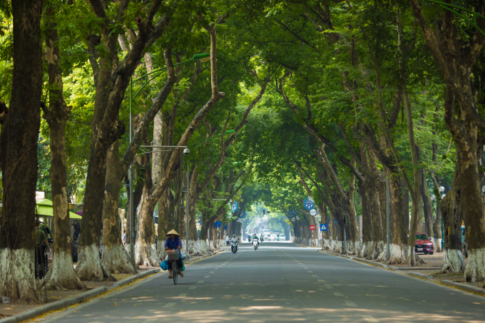 Mùa thu Hà Nội. Ảnh: Vũ Ngọc Thiện